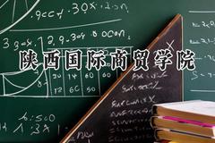 2024陕西国际商贸学院录取分数线：青海最低248分