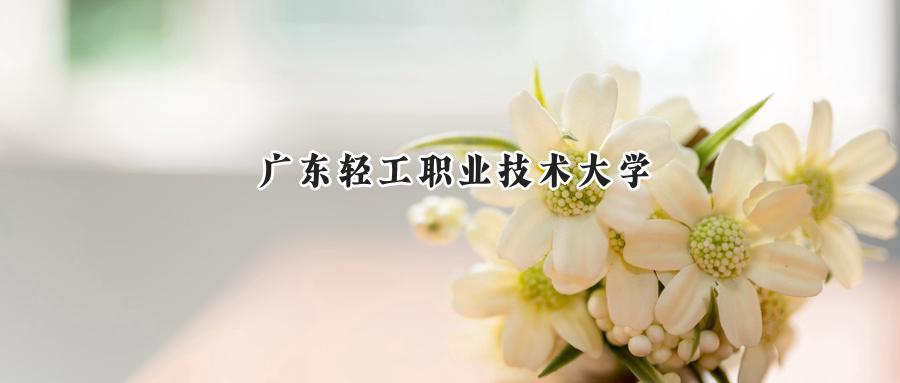 广东轻工职业技术大学
