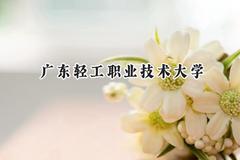2024广东轻工职业技术大学录取分数线：青海最低255分