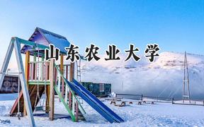 山东农业大学2024在重庆录取分数线是多少？最低513分/最高552分