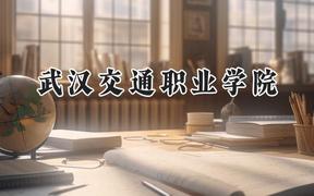 2024武汉交通职业学院录取分数线：江苏最低370分