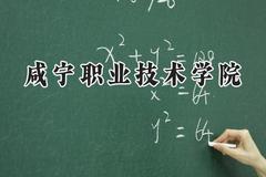 2024咸宁职业技术学院录取分数线：宁夏最低317分
