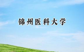 2024锦州医科大学录取分数线：天津最低517分