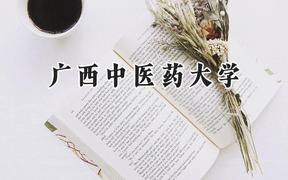 广西中医药大学2024在山西录取分数线是多少？最低467分/最高515分