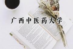 广西中医药大学2024在山西录取分数线是多少？最低467分/最高515分