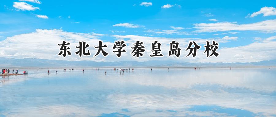 东北大学秦皇岛分校