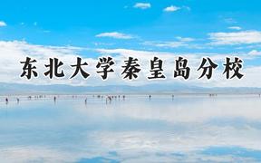 2024东北大学秦皇岛分校录取分数线：江苏最低596分