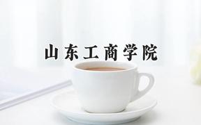 山东工商学院2024在天津录取分数线是多少？最低520分/最高554分