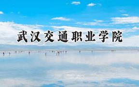 武汉交通职业学院2024在辽宁录取分数线是多少？最低317分/最高404分