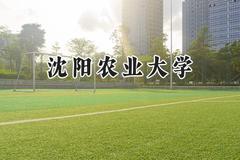 2024沈阳农业大学录取分数线：青海最低361分