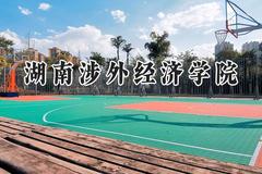 2024湖南涉外经济学院录取分数线：宁夏最低386分