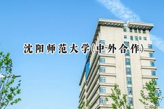 沈阳师范大学(中外合作)2024在内蒙古录取分数线是多少？最低404分/最高441分