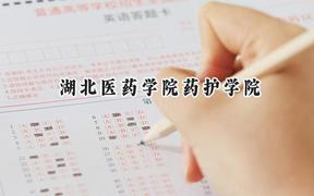 2024湖北医药学院药护学院录取分数线：宁夏最低401分