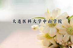 大连医科大学中山学院2024在天津录取分数线是多少？最低461分/最高522分