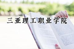 2024三亚理工职业学院录取分数线：江苏最低292分