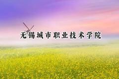 2024无锡城市职业技术学院录取分数线：江苏最低412分