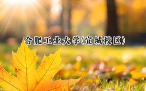 2024合肥工业大学(宣城校区)录取分数线：宁夏最低432分