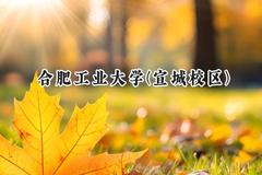 2024合肥工业大学(宣城校区)录取分数线：宁夏最低432分