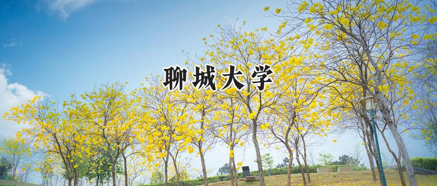 聊城大学