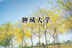 聊城大学2024在浙江录取分数线是多少？最低489分/最高599分