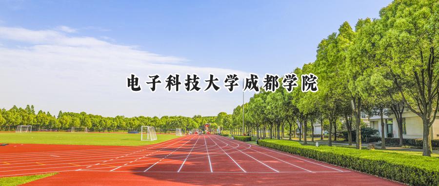 电子科技大学成都学院