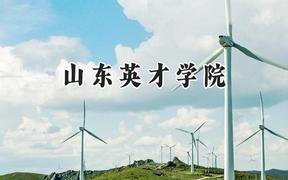 山东英才学院2024在天津录取分数线是多少？最低124分/最高496分