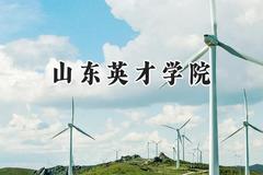 山东英才学院2024在天津录取分数线是多少？最低124分/最高496分
