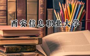 2024西安信息职业大学录取分数线：青海最低243分