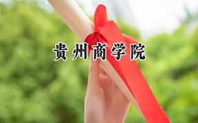 贵州商学院2024在江苏录取分数线是多少？最低481分/最高507分