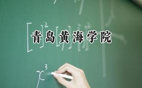 青岛黄海学院2024在江苏录取分数线是多少？最低309分/最高504分