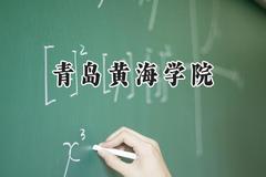 青岛黄海学院2024在江苏录取分数线是多少？最低309分/最高504分