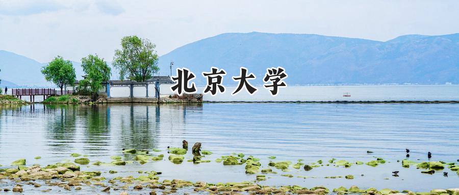 北京大学