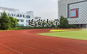 延安大学2024在浙江录取分数线是多少？最低507分/最高603分