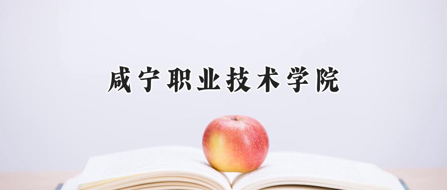 咸宁职业技术学院