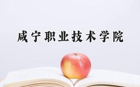2024咸宁职业技术学院录取分数线：天津最低225分