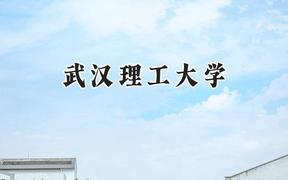 2024武汉理工大学录取分数线：青海最低449分