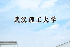 2024武汉理工大学录取分数线：青海最低449分