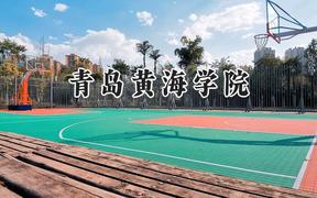 青岛黄海学院2024在浙江录取分数线是多少？最低269分/最高548分