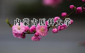 2024内蒙古医科大学录取分数线：山西最低456分