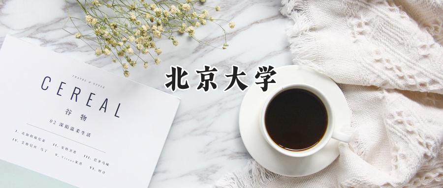 北京大学