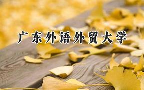 2024广东外语外贸大学录取分数线：山西最低527分