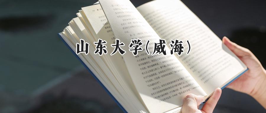 山东大学(威海)