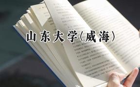 山东大学(威海)2024在上海录取分数线是多少？最低553分/最高570分