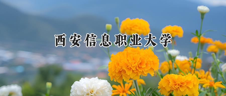 西安信息职业大学