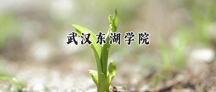 武汉东湖学院