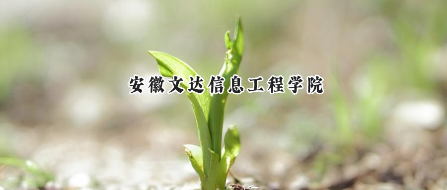 安徽文达信息工程学院