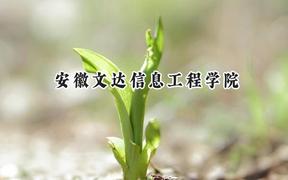 安徽文达信息工程学院2024在江苏录取分数线是多少？最低482分/最高490分