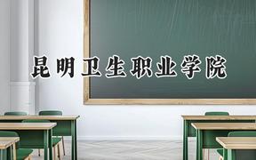 2024昆明卫生职业学院录取分数线：天津最低239分