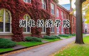 湖北经济学院2024在天津录取分数线是多少？最低537分/最高560分