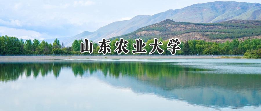 山东农业大学
